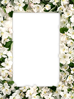 Cornici: Primavera in fiore