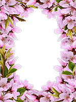 Cornici: Primavera in fiore