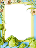 Cornici: Primavera in fiore