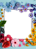 Cornici: Primavera in fiore