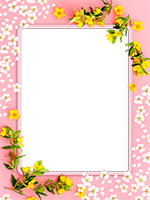 Cornici: Primavera in fiore