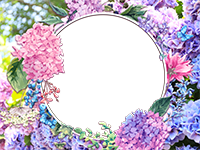Cornici: Primavera in fiore