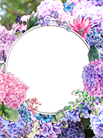 Cornici: Primavera in fiore
