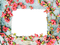 Cornici: Primavera in fiore