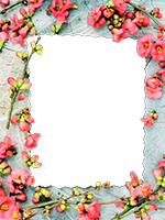 Cornici: Primavera in fiore