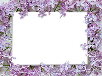 Cornici: Primavera in fiore