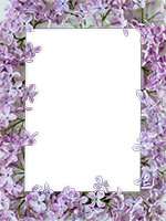 Cornici: Primavera in fiore