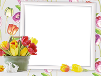 Cornici: Primavera in fiore