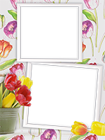 Cornici: Primavera in fiore