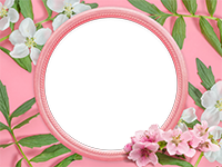 Cornici: Primavera in fiore
