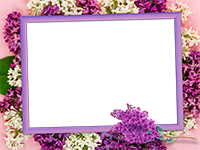 Cornici: Primavera in fiore