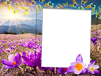 Cornici: Primavera in fiore
