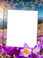 Cornici: Primavera in fiore