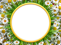 Bilderrahmen : Bunter Sommer