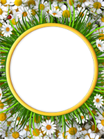 Bilderrahmen : Bunter Sommer