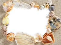 Bilderrahmen : Bunter Sommer