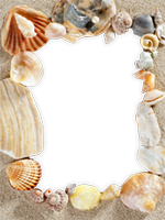 Bilderrahmen : Bunter Sommer