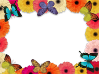 Marcos: Paquete de mariposas