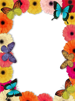 Marcos: Paquete de mariposas