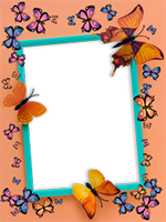 Marcos: Paquete de mariposas