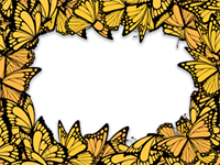 Marcos: Paquete de mariposas