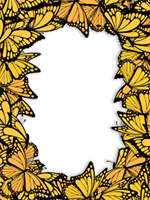 Marcos: Paquete de mariposas