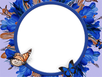 Marcos: Paquete de mariposas