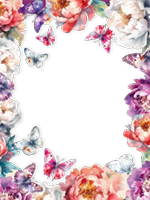Marcos: Paquete de mariposas