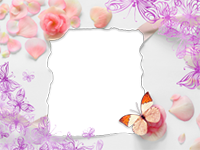 Marcos: Paquete de mariposas