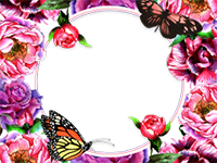 Marcos: Paquete de mariposas
