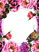 Marcos: Paquete de mariposas