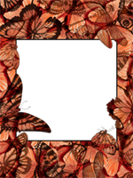 Marcos: Paquete de mariposas