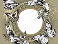 Marcos: Paquete de mariposas