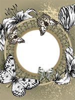 Marcos: Paquete de mariposas
