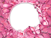 Marcos: Paquete de mariposas