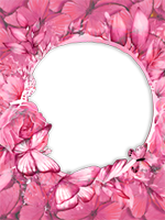 Marcos: Paquete de mariposas