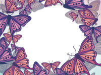 Marcos: Paquete de mariposas