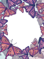 Marcos: Paquete de mariposas