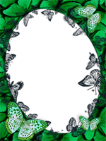 Marcos: Paquete de mariposas