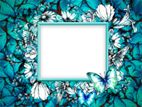Marcos: Paquete de mariposas