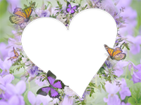 Marcos: Paquete de mariposas