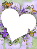 Marcos: Paquete de mariposas