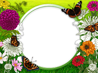 Marcos: Paquete de mariposas