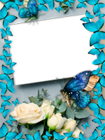 Marcos: Paquete de mariposas