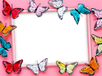 Marcos: Paquete de mariposas
