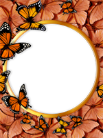 Marcos: Paquete de mariposas