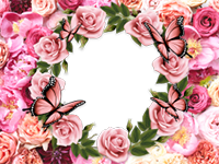 Marcos: Paquete de mariposas