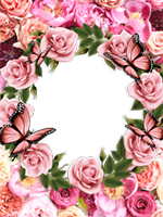 Marcos: Paquete de mariposas