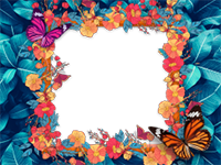 Marcos: Paquete de mariposas