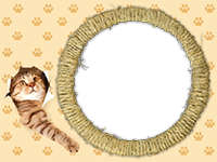 Frames: Cats Pack